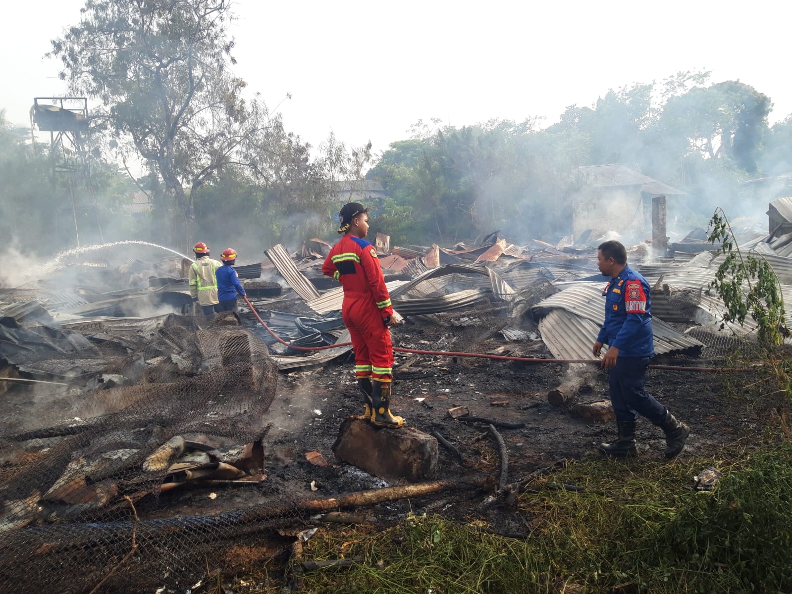Diduga dari Tabung Gas, Kandang Ayam di Curug Hangus Terbakar