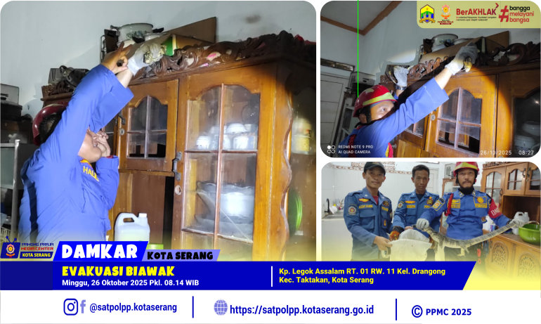 Evakuasi Biawak di Kp. Legok Assalam Drangong Taktakan