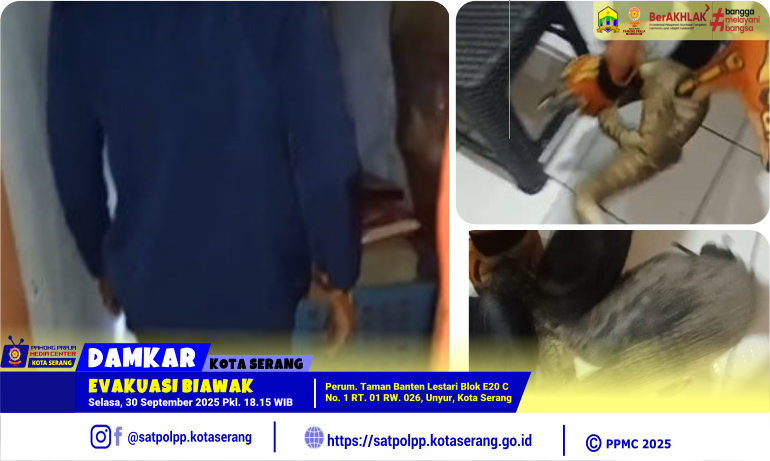Evakuasi Biawak di Perum Taman Banten Lestari Blok E20 C Kel. Unyur KOta Serang