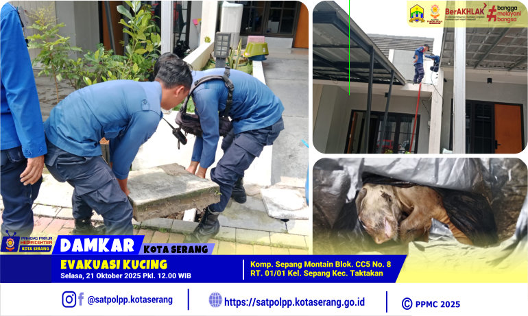 Evakuasi Kucing di Komp. Sepang Montain Taktakan
