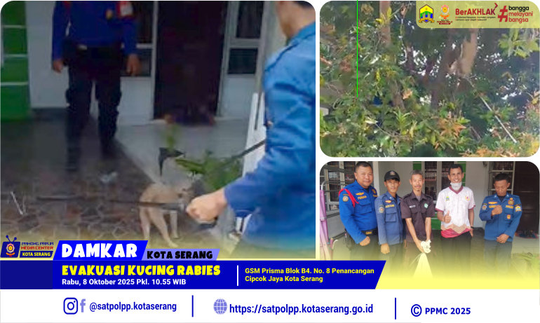 Evakuasi Kucing Rabies di GSM Prisma Penancangan Cipocok Jaya