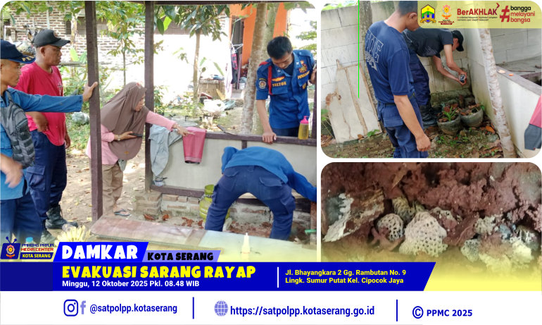 Evakuasi Sarang Rayap di Jalan Bhayangkara Cipocok Jaya