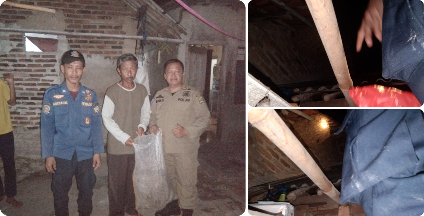 Evakuasi Sarang Tawon di Kasemen