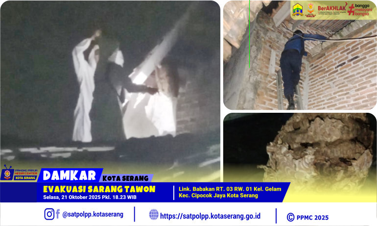 Evakuasi Sarang Tawon di Lingkungan Babakan Kelurahan Gelam Cipocok Jaya