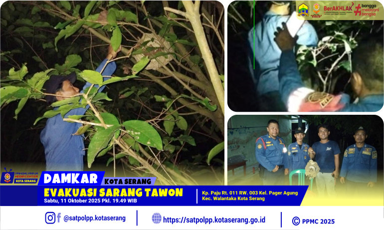 Evakuasi Sarang Tawon di Pager Agung Walantaka