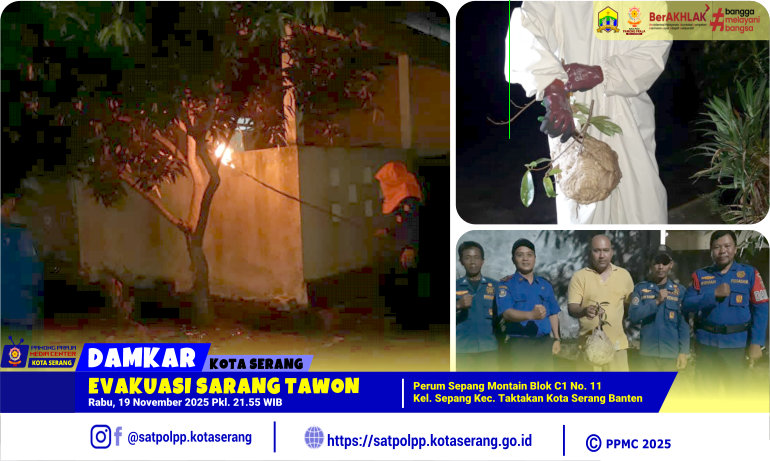 Evakuasi Sarang Tawon di Perum Sepang Montain Blok C1 Kelurahan Sepang Taktakan Kota Serang