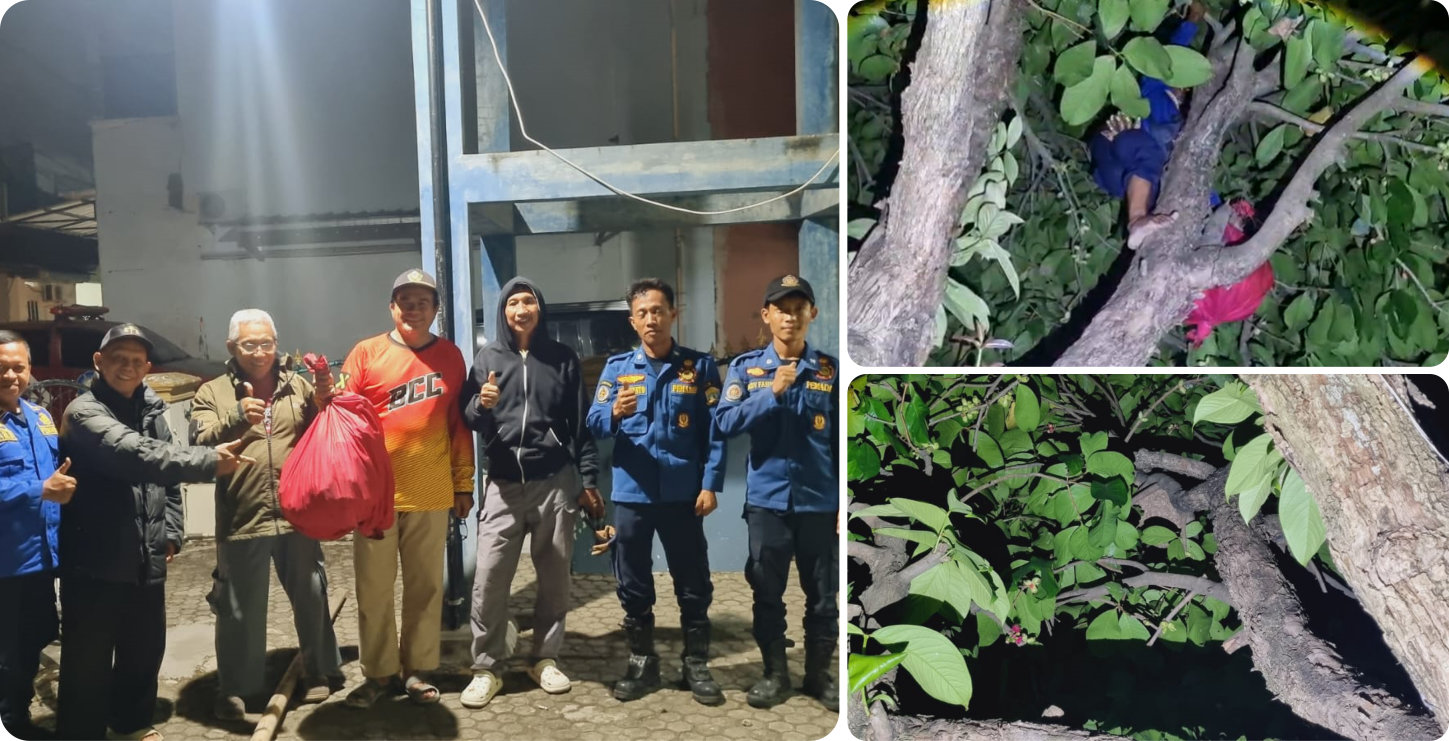 Evakuasi Sarang Tawon di Perumahan Bumi Serang Damai-