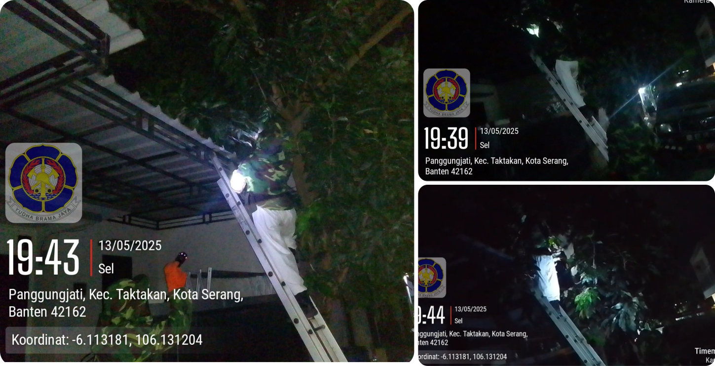 Evakuasi Sarang Tawon Taktakan