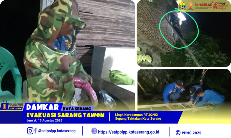 Evakuasi Sarang Tawon Sepang Taktakan