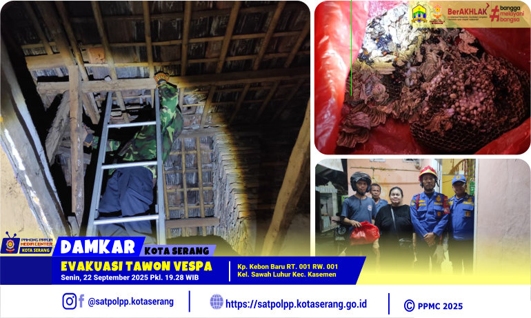 Evakuasi Tawon Vespa di Kebon Baru Sawahluhur Kasemen