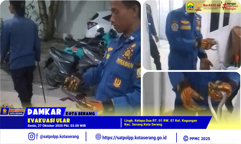Evakuasi Ular di Lingk. Kelapa Dua Kelurahan Kagungan Serang