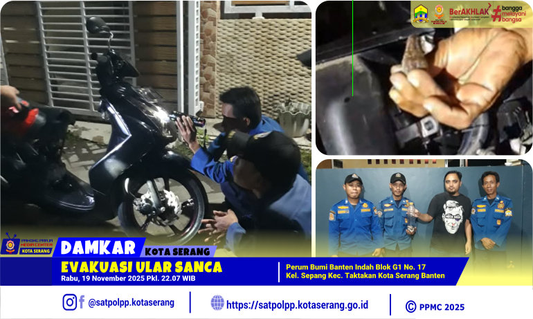 Evakuasi Ular Sanca di Perum Bumi Banten Indah Blok G 1Kelurahan Sepang Taktakan