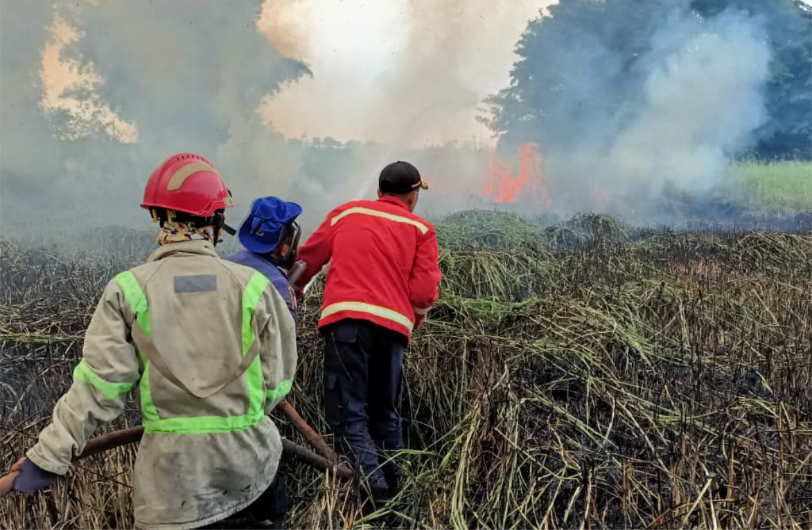 Alang-alang Terbakar di Kampung Baru Dangder Diduga Akibat Pembakaran Liar