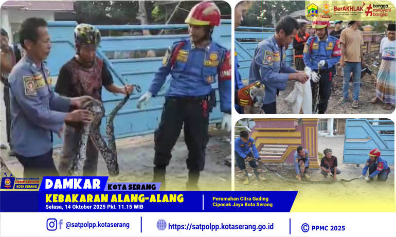 Kebakaran Alang-alang di Perumahan Citra Gading Cipocok Jaya