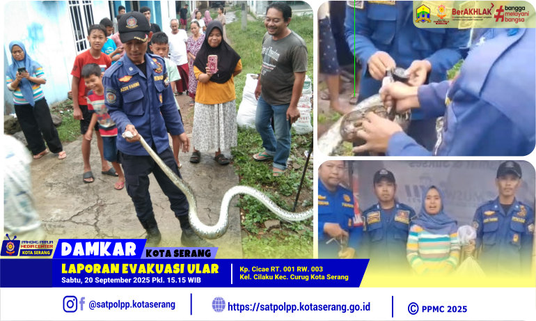 Laporan Evakuasi Ular di Cilaku Curug