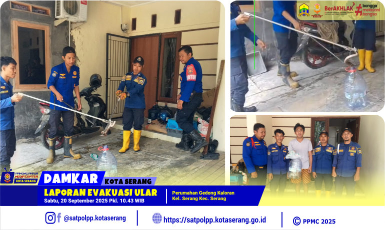 Laporan Evakuasi Ular di Perumahan Gedong Kaloran Kelurahan Serang