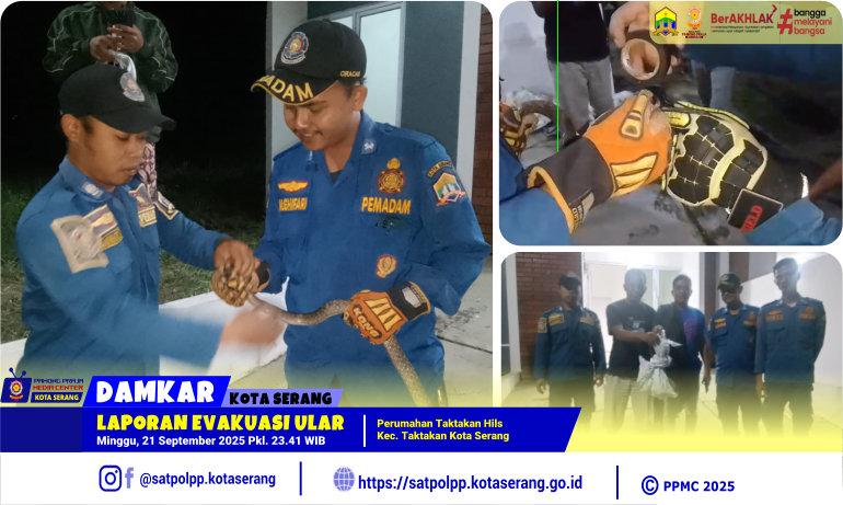 Laporan Evakuasi Ular di Perumahan Taktakan Hils Taktakan